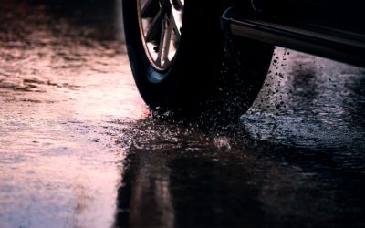 雨后及时保养 避免“荷包”大出血