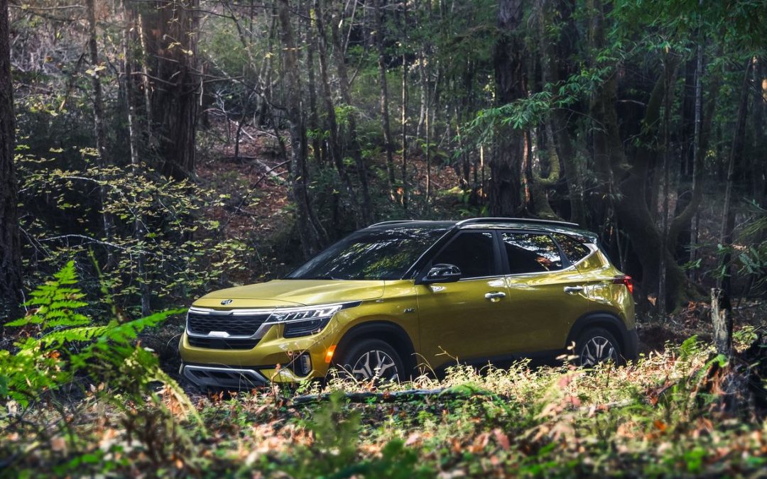 Bermaz Auto Berhad正式与Kia汽车公司成为合作伙伴，并指定Dinamikjaya Motors为主要代理商